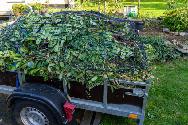 Best Carpet Removal and Disposal  in Thompson, ND